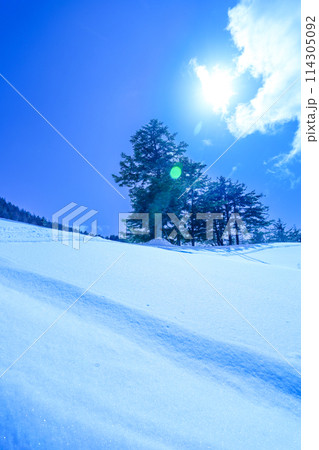 青空と新雪のゲレンデ 青空と新雪のゲレンデ 114305092