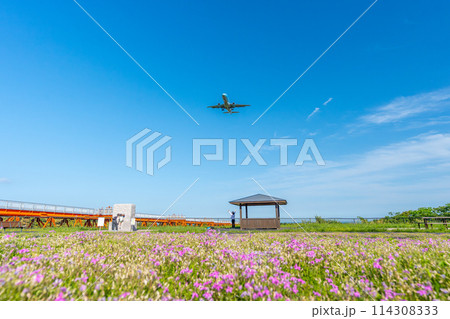 芝桜の向こうに見える飛行機　富士山静岡空港 114308333