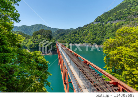 渓谷をゆっくりと走る日本で唯一のアプト式列車　井川線　絶景　車窓　 114308685