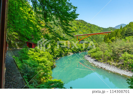 渓谷をゆっくりと走る日本で唯一のアプト式列車　井川線　絶景　車窓　 114308701