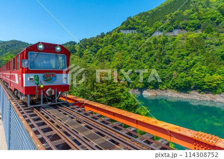 【静岡県】　奥大井湖上駅を発車する電車　井川線 114308752