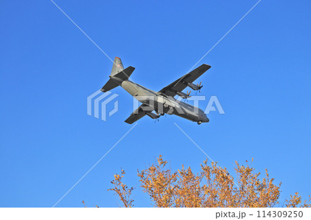 福岡県の航空自衛隊築城基地で日米共同訓練をするC-130J 114309250