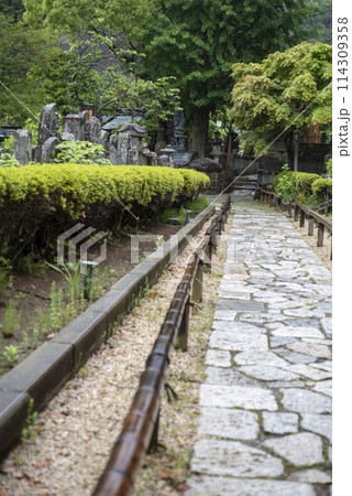 鎌倉245　光触寺3 114309358