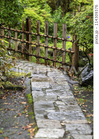 鎌倉245 光触寺8 鎌倉245 光触寺8 114309376