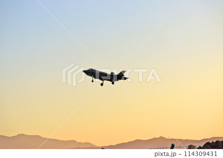 福岡県の航空自衛隊築城基地で日米共同訓練をするF-35A 114309431