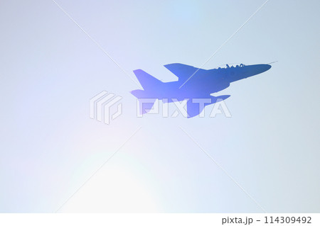 福岡県の航空自衛隊築城基地で日米共同訓練をするT-4 福岡県の航空自衛隊築城基地で日米共同訓練をするT-4 114309492