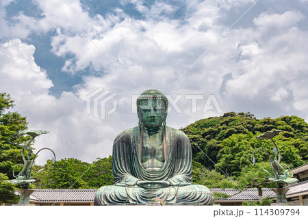 鎌倉 高徳院 鎌倉大仏 114309794