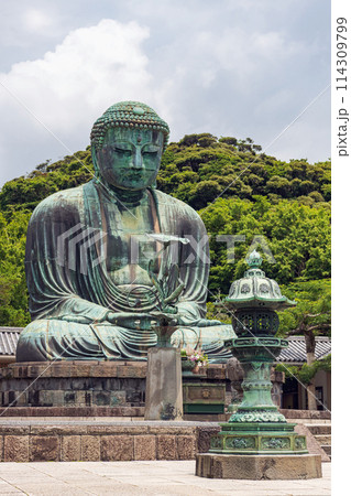 鎌倉 高徳院 鎌倉大仏 鎌倉 高徳院 鎌倉大仏 114309799