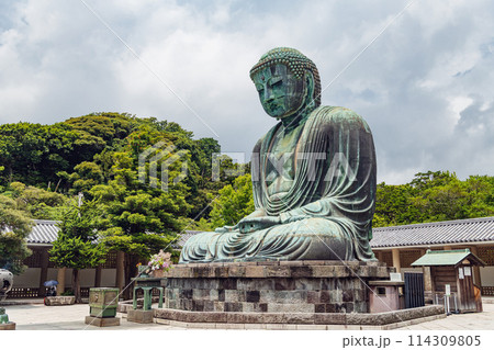 鎌倉 高徳院 鎌倉大仏 114309805