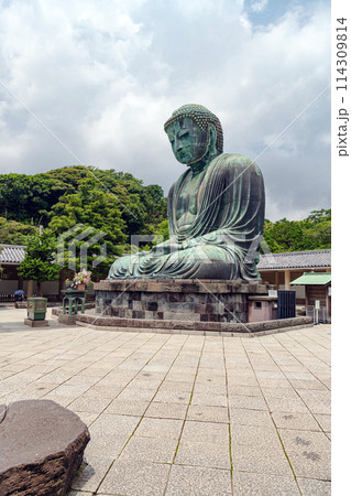 鎌倉 高徳院 鎌倉大仏 鎌倉 高徳院 鎌倉大仏 114309814
