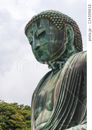 鎌倉 高徳院 鎌倉大仏 114309818