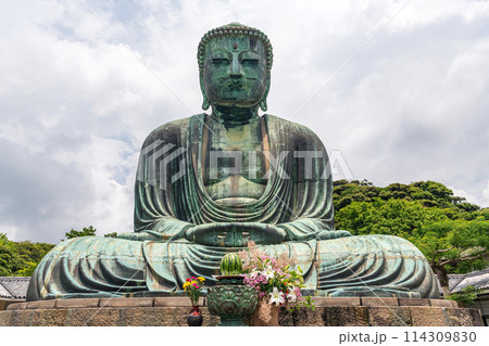 鎌倉 高徳院 鎌倉大仏 114309830