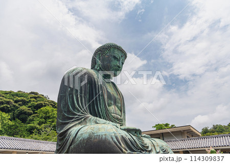 鎌倉 高徳院 鎌倉大仏 114309837