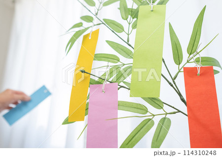 七夕の短冊を手に持つ男性 114310248