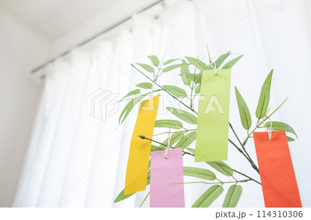 家の窓際に飾る七夕飾り 114310306