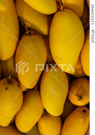 Basket with mangoes at the fruit market 114310448