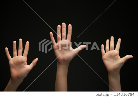 Image of teenager's, children's hands shows palms against black background. Hands raising up. Image of teenager's, children's hands shows palms against black background. Hands raising up. 114310784