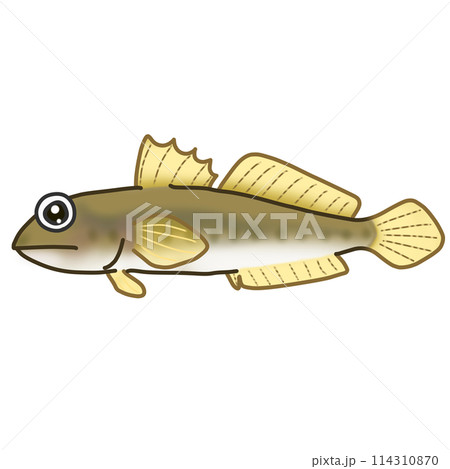 デフォルメされたマハゼの魚イラスト デフォルメされたマハゼの魚イラスト 114310870