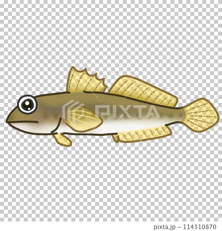 變形鯖魚魚圖 變形鯖魚魚圖 114310870