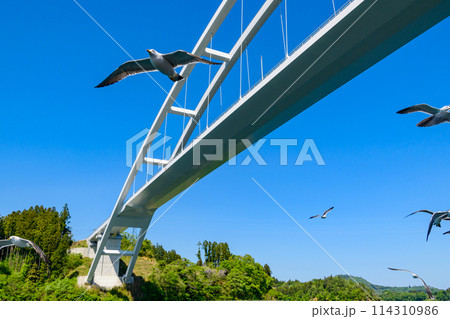 宮城県気仙沼市　大島クルーズ 114310986