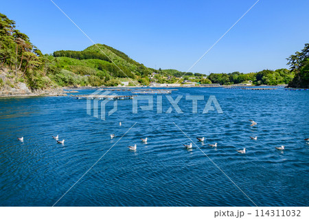 宮城県気仙沼市　大島クルーズ 114311032