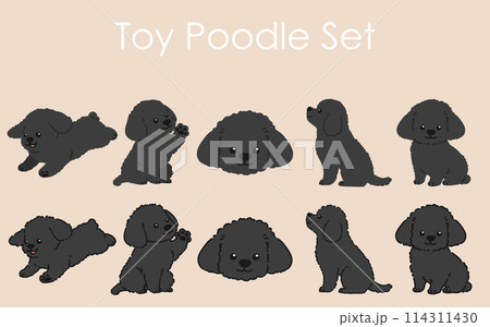 シンプルで可愛い黒色のトイプードルのイラストセット　主線あり・なし 114311430