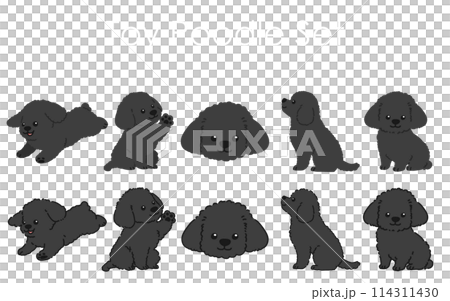シンプルで可愛い黒色のトイプードルのイラストセット　主線あり・なし 114311430