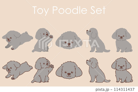 シンプルで可愛いグレーのトイプードルのイラストセット　主線あり・なし 114311437