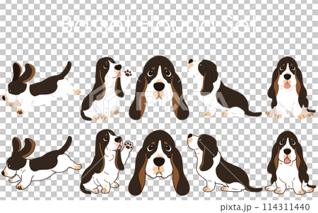 A simple and cute tri-colored Basset Hound illustration set with and without main lines A simple and cute tri-colored Basset Hound illustration set with and without main lines 114311440