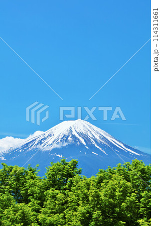 初夏の青空と新緑の風景　そして富士山 114311661