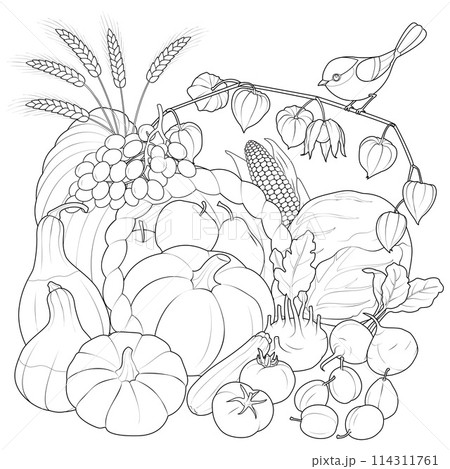 Autumn Harvest vegetables and fruits with bird. black and white 114311761