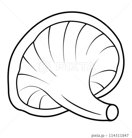 saffron milk caps mushroom. Black and white isolated. Vintage.  114311847