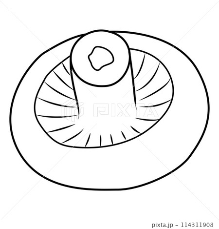 Champignon mushrooms. Black and white isolated. Vintage. Vector illustration 114311908