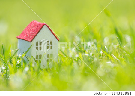 緑の芝と赤い屋根の小さな住宅 114311981