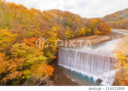 八幡平市・森の大橋からの紅葉 114312984