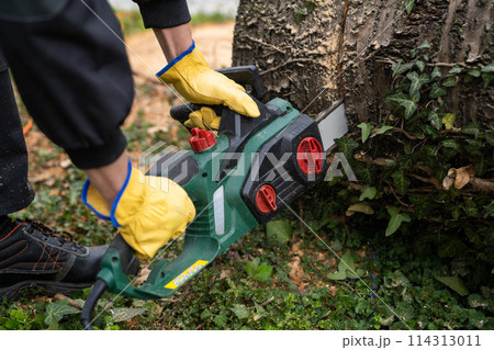 A man in uniform cuts an old tree in the yard with an electric saw. 114313011