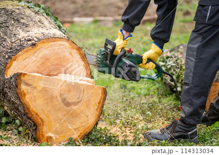 A man in uniform cuts an old tree in the yard with an electric saw. 114313034