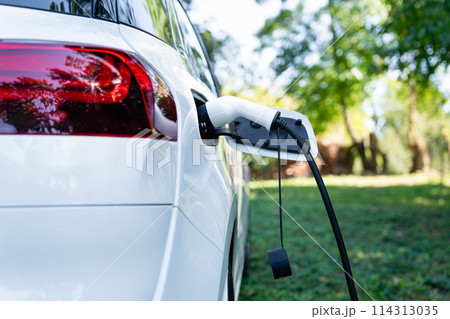 Close up of electric car inlet with a connected charging cable on a green background.. 114313035