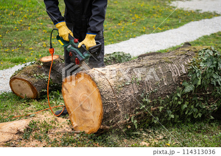 A man in uniform cuts an old tree in the yard with an electric saw. 114313036