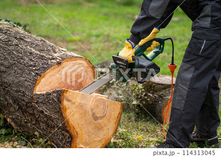 A man in uniform cuts an old tree in the yard with an electric saw. A man in uniform cuts an old tree in the yard with an electric saw. 114313045