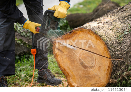 A man in uniform cuts an old tree in the yard with an electric saw. A man in uniform cuts an old tree in the yard with an electric saw. 114313054
