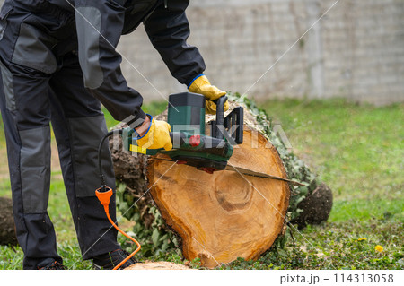 A man in uniform cuts an old tree in the yard with an electric saw. A man in uniform cuts an old tree in the yard with an electric saw. 114313058