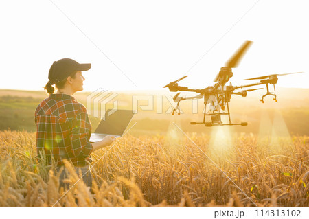 Woman farmer controls drone sprayer with a tablet. Smart farming and precision agriculture. Woman farmer controls drone sprayer with a tablet. Smart farming and precision agriculture. 114313102