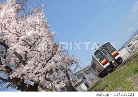 満開の桜が彩る車両基地に佇むキハE120系気動車(国鉄復刻色)_2024/4/18撮影 114313121