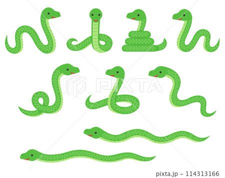 蛇のイラストセット 114313166