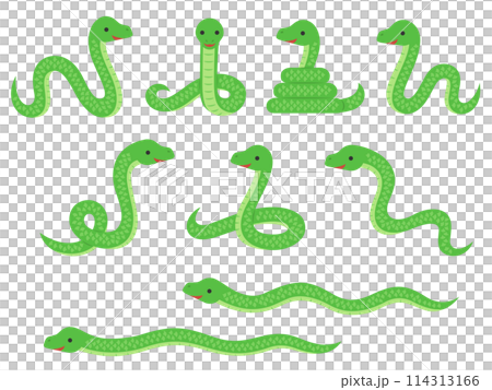 蛇插圖集 114313166