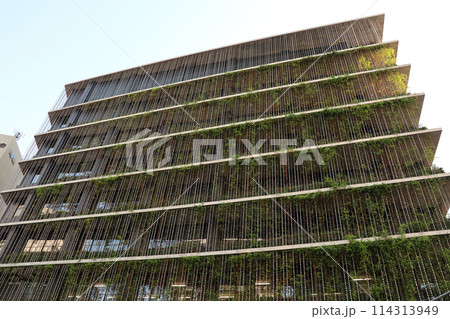 ハーブや蔦の緑で覆われたコープ共済プラザビル（2017年撮影） 114313949