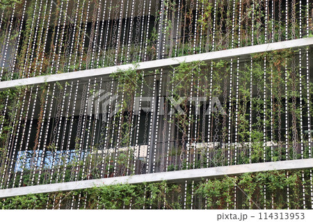 ハーブや蔦の緑で覆われたコープ共済プラザビル（2017年撮影） 114313953