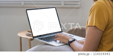Young woman using laptop screen blank, mockup lying on the sofa at home Young woman using laptop screen blank, mockup lying on the sofa at home 114314341