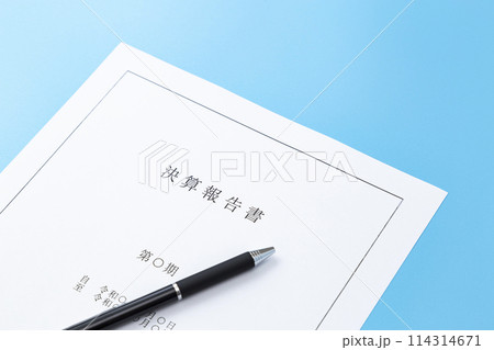 青背景に決算報告書 青背景に決算報告書 114314671